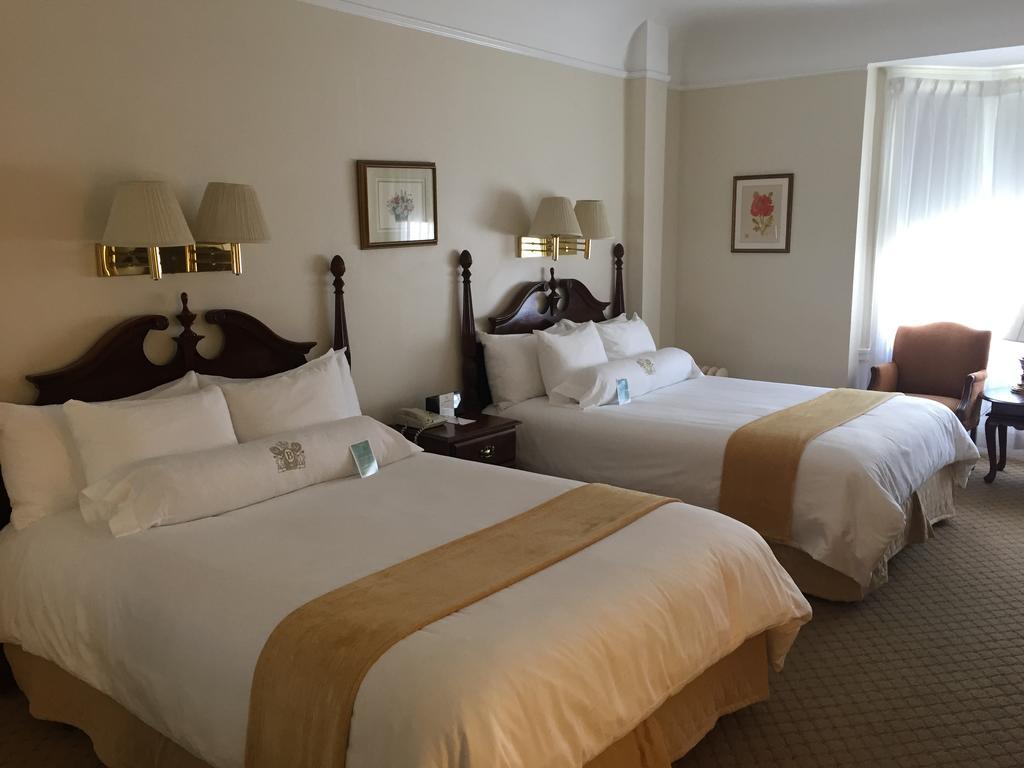 Studio Suite With Kitchen,255354901:JPEG