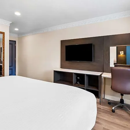 Signature Inn San Francisco Marina District-2